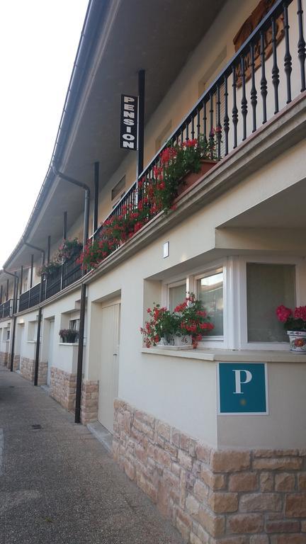 Pension Amets Zubiri Exterior foto